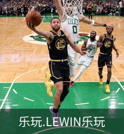 成功案例